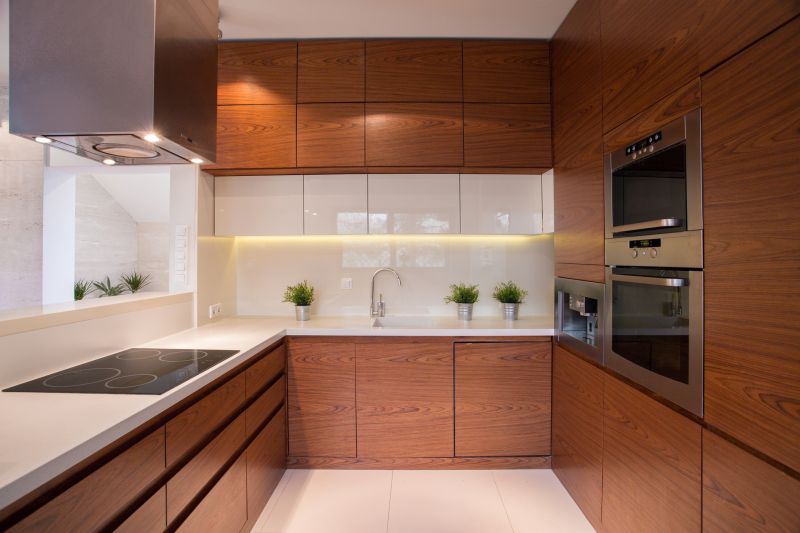 Modern Kitchen Cabinets